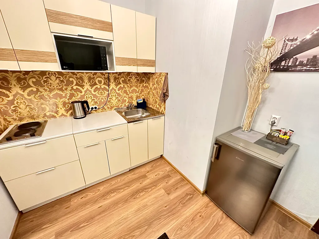 Студия с камином и кондиционером