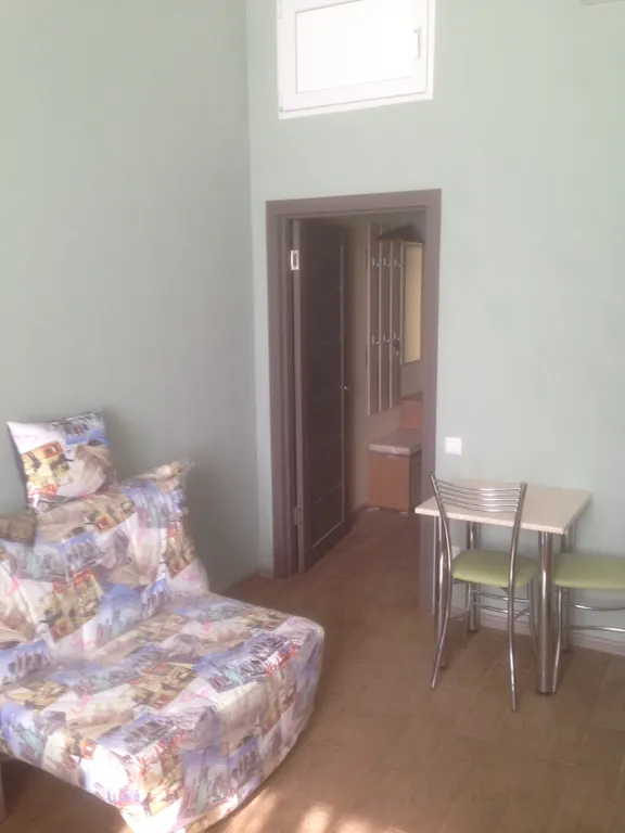 Студия в историческом здании Царский гараж