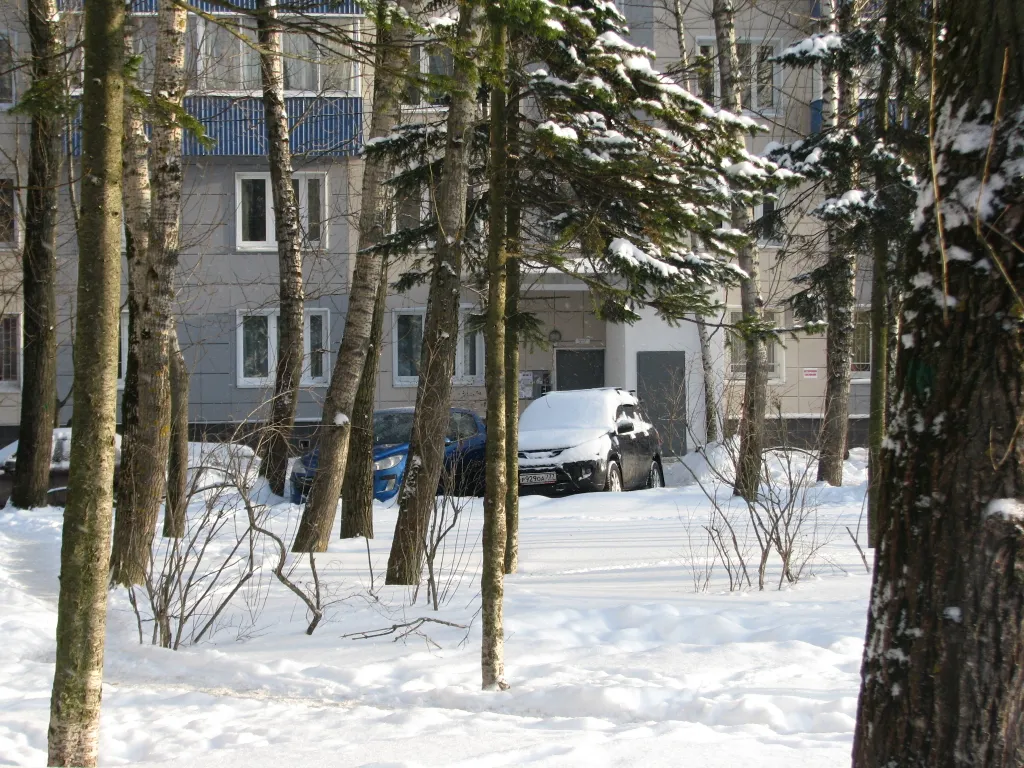 Апартамент Елена