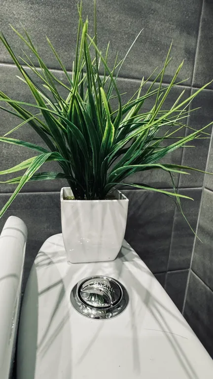 Апартамент с панорамным видом на Томь в центре города