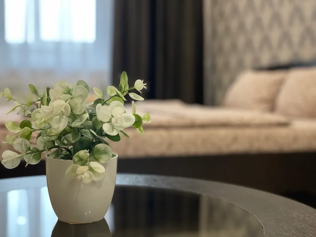 Уютная квартира-студия