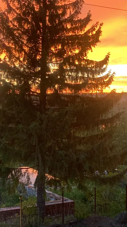 Живописный дом на природе недалеко от города