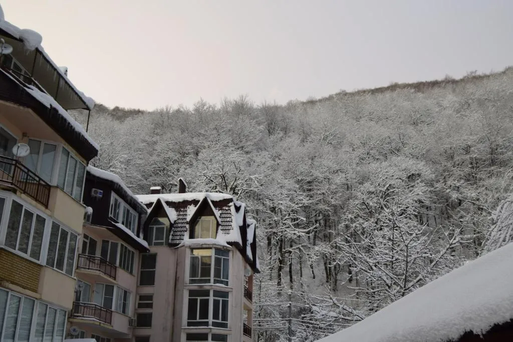 Студия на мансарде