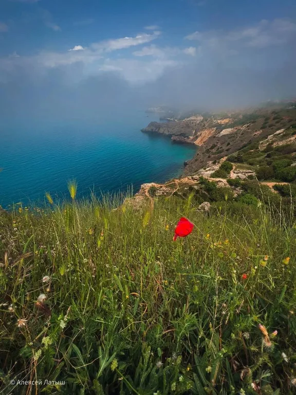 Коттедж Коттедж Уютная дача у моря — Севастополь