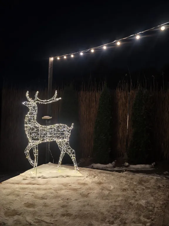 Эко-спа отель с видом на реку