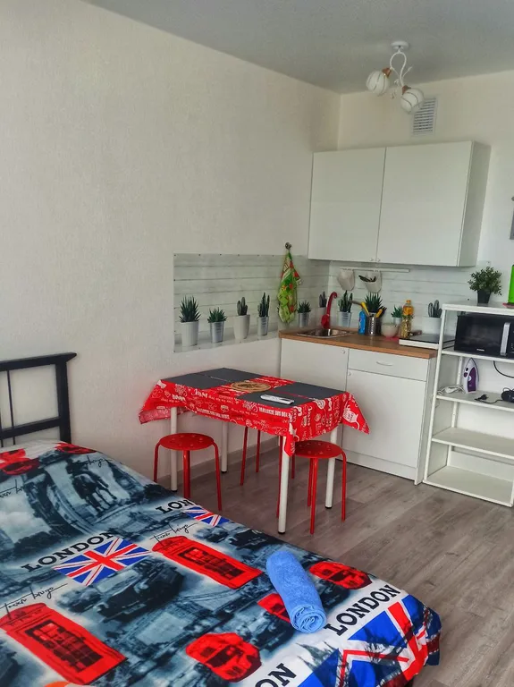 Прекрасная квартира. Вокзал и аэропорт поблизости