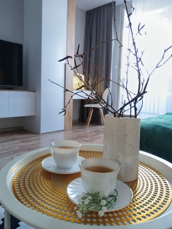 Квартира Квартира Уютная студия в историческом центре Красноярска — Красноярск