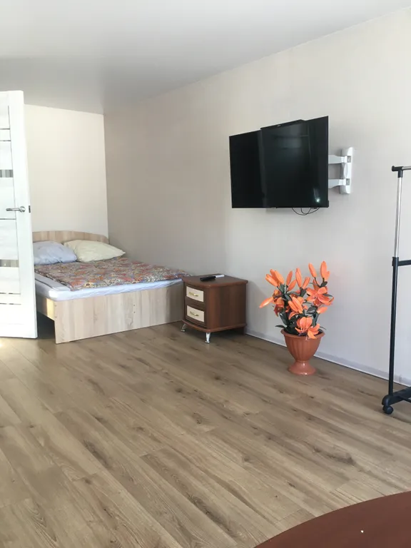 Квартира Уютная студия для комфортного проживания с кондиционером — аренда посуточно в Белокуриха