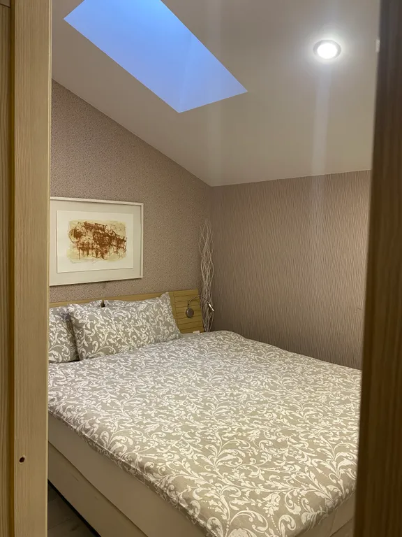 Мансарда рядом с шереметьево