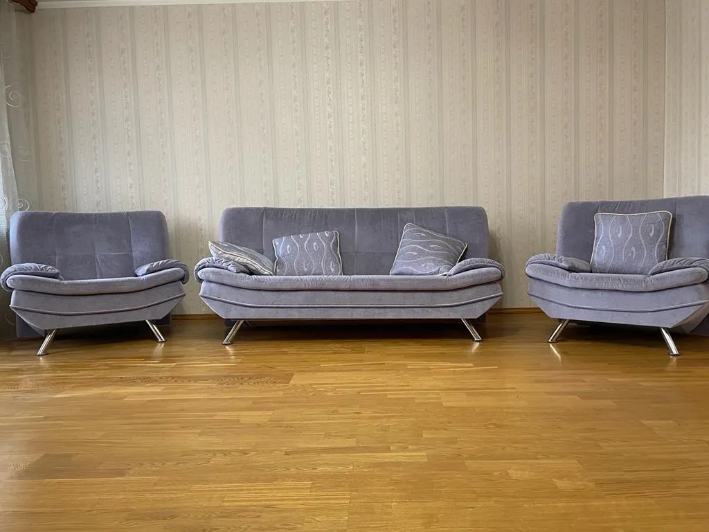 Большая квартира у парка