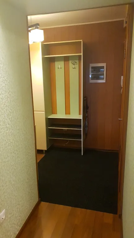 Уютный апартамент у Арены