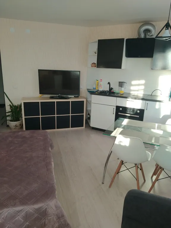 Уютная студия с развитой инфраструктурой