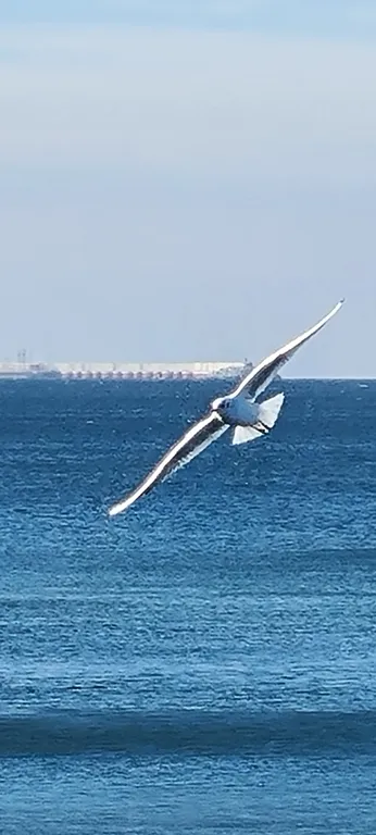 Евродвушка с видом на храм