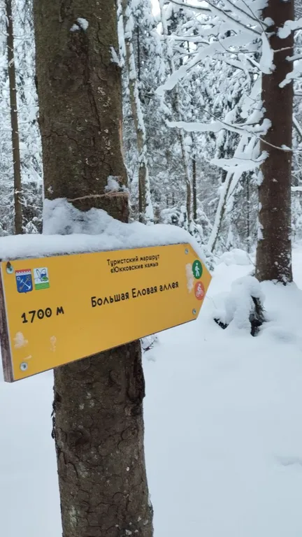 Хуторок на горке