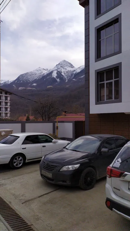 Студия с видом на горы и лес