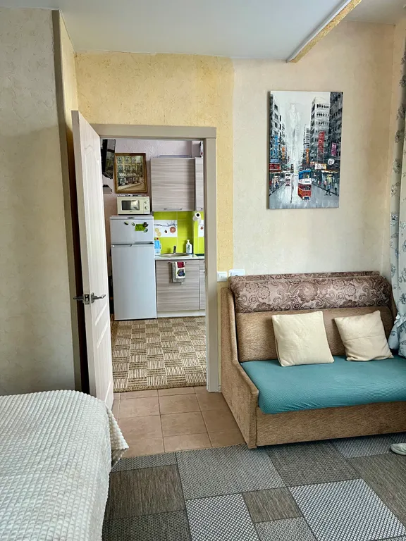 Квартира 1-комнатная Квартира — Сириус