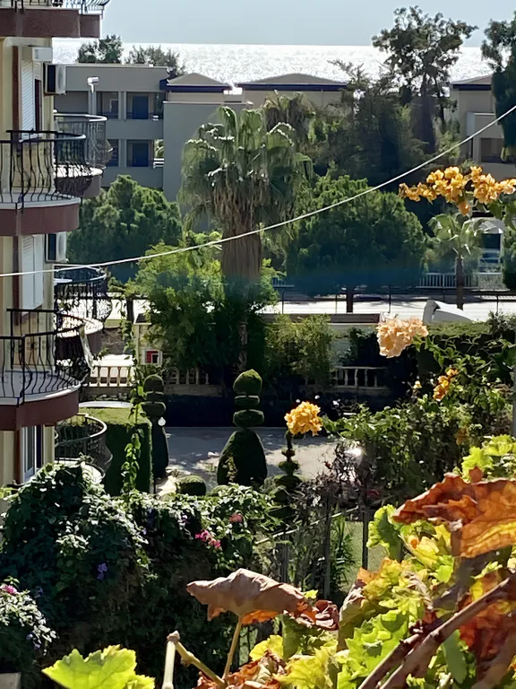 Апартаменты с видом на море в 300 метрах до моря