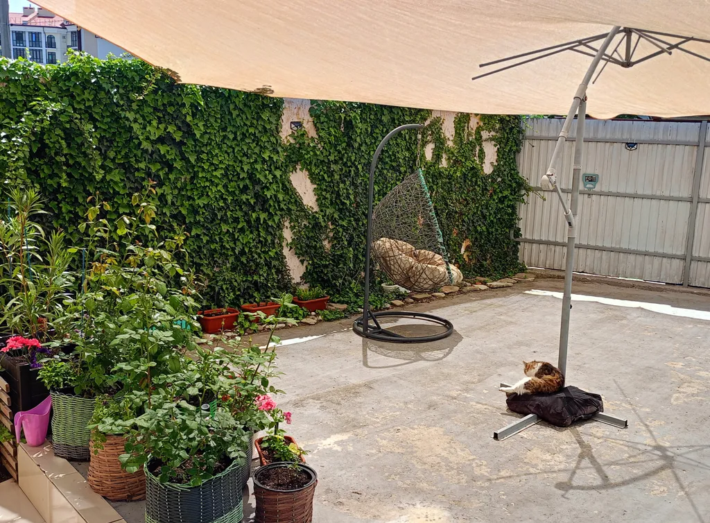 Коттедж 2-комнатный Дом — Геленджик