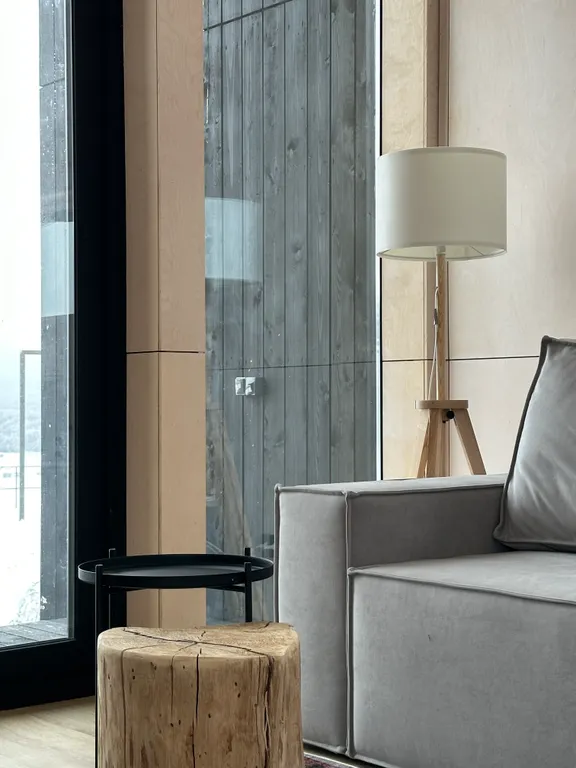 Сканди-дача №2