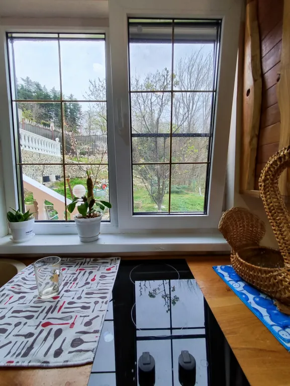 Шикарный дом с сауной и бильярдом.