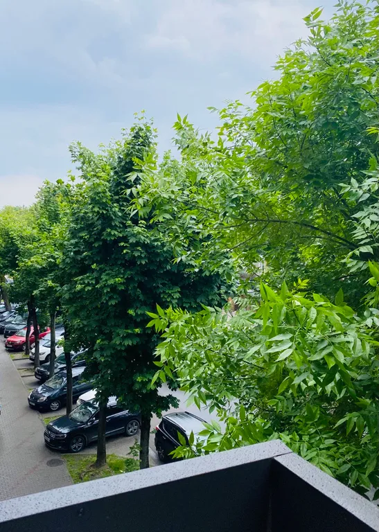 Уютная светлая квартира в самом центре