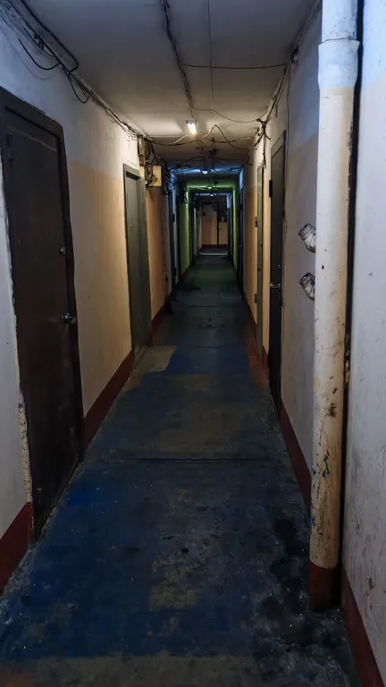 Гостинка на Снеговой