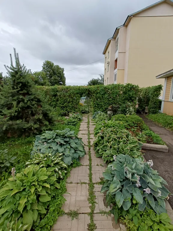 Квартира Уютная квартира в самом центре — Ярославль