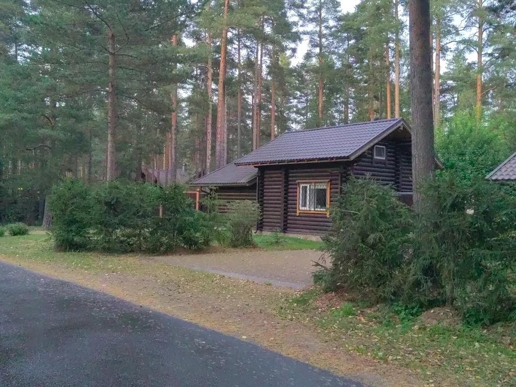 Уютный домик в Сосново