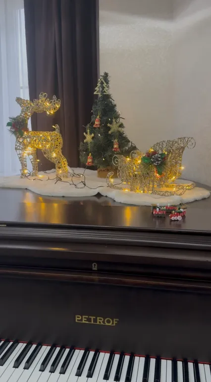 Квартира с роялем