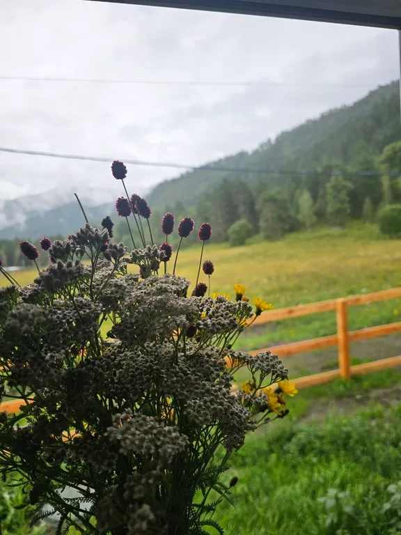 Коттедж семейный