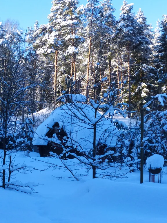 Домик на Карельском перешейке