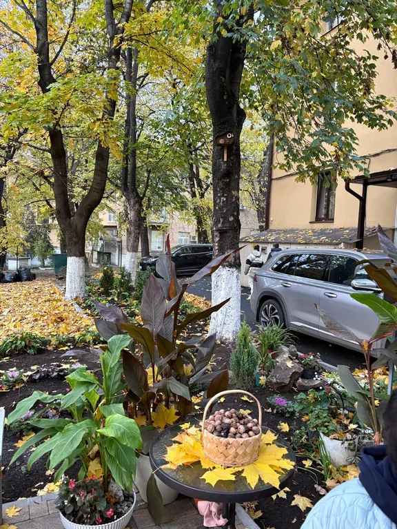 Уютная квартира в курортной зоне, рядом с парком, бесплатной парковкой