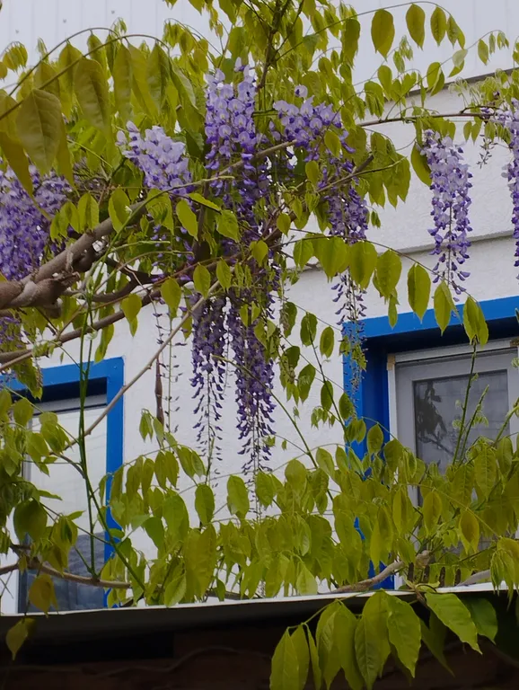 Комфортные и просторные апартаменты