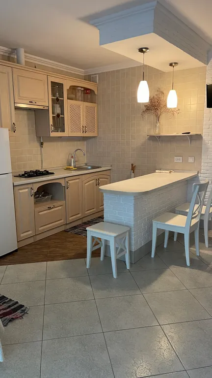 Студия со всеми удобствами и кухней