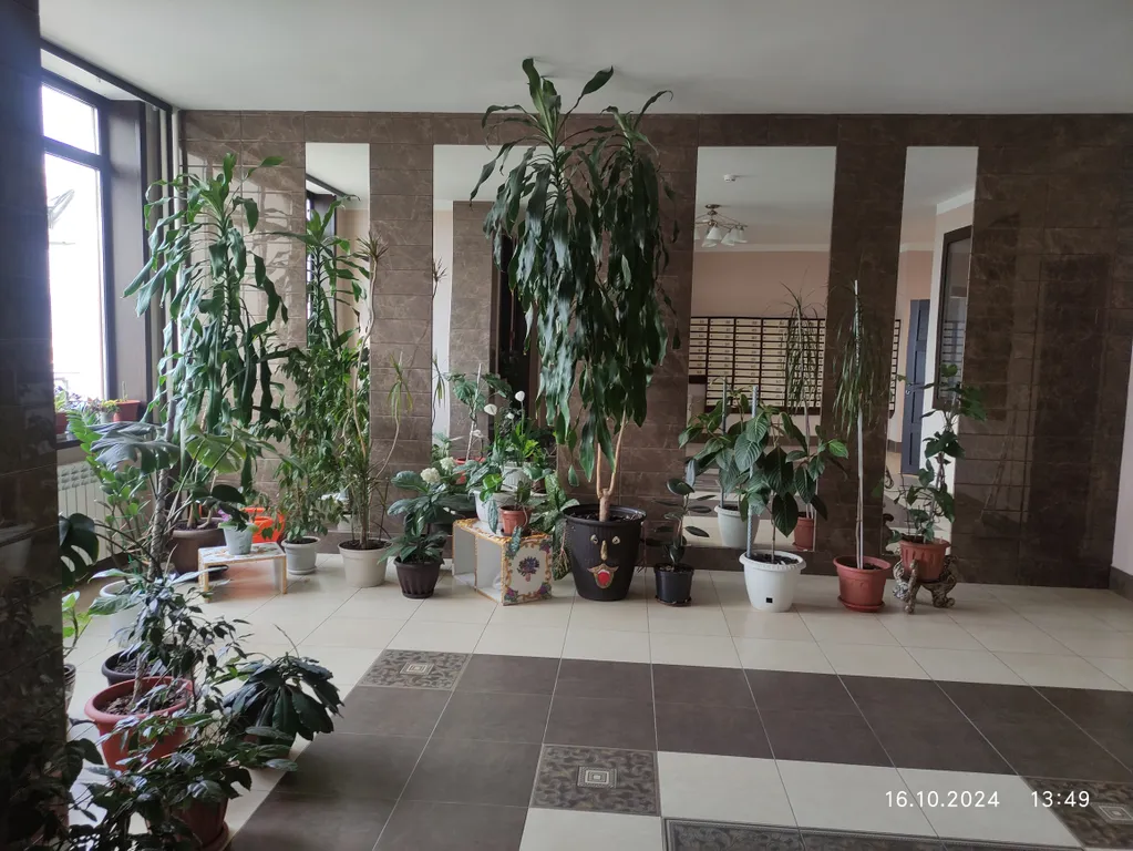 Уютная студия в центре города