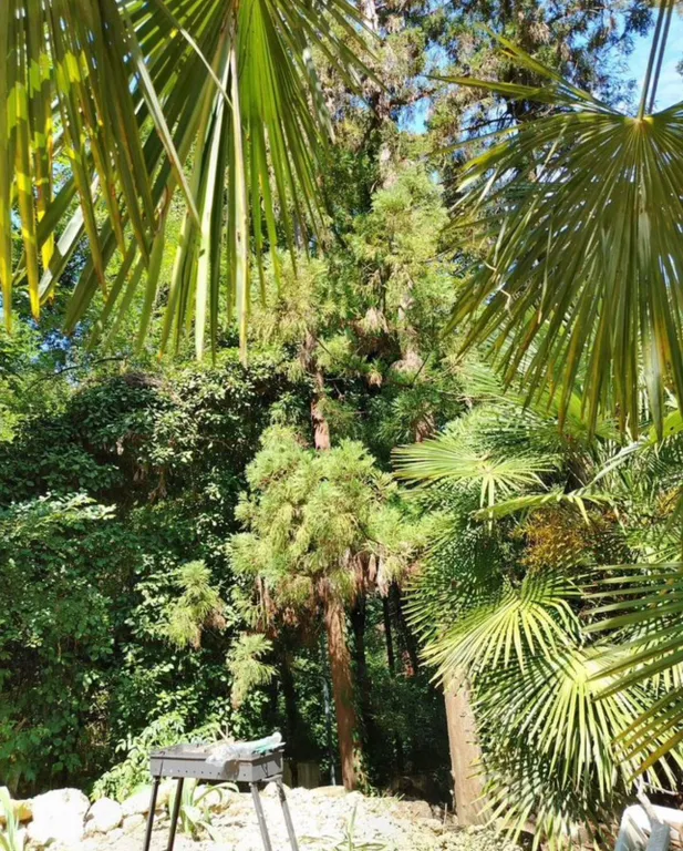 Коттедж Дом на горе Ахун — Сочи