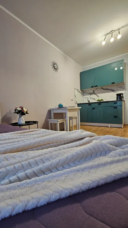 Уютная студия в 5 минутах от метро