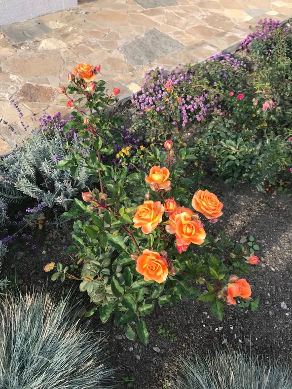 Коттедж Дом под черепицей — Солнечная Долина