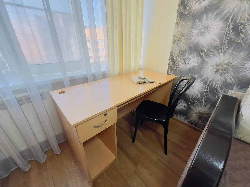 1-комнатная квартира в деловом и историческом центре города с новогодней елкой