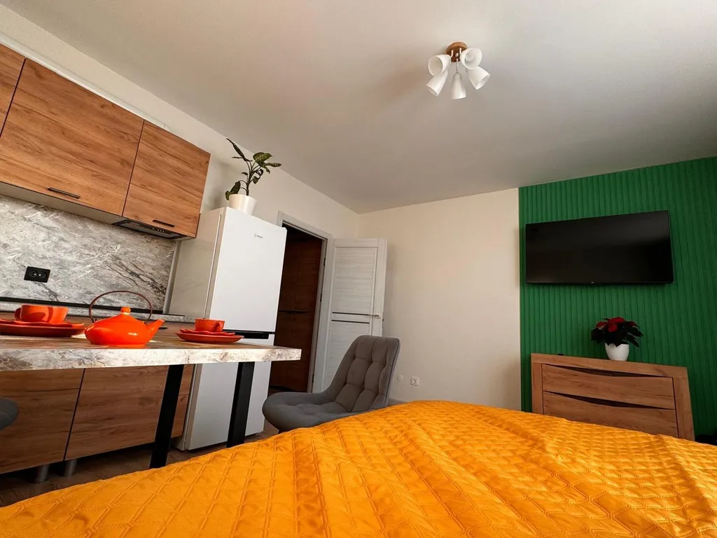 Квартира Квартира Студия Песочный, НИИ Петрова/Гранова/Напалкова — Песочный