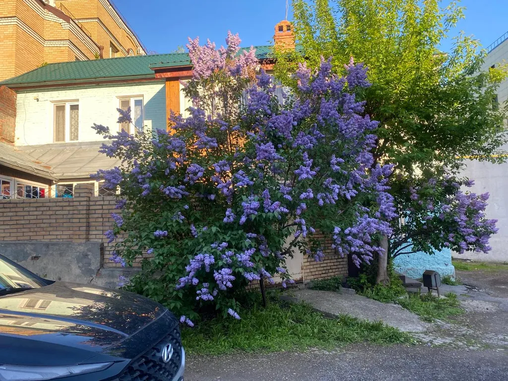 Уютный дом в центре города