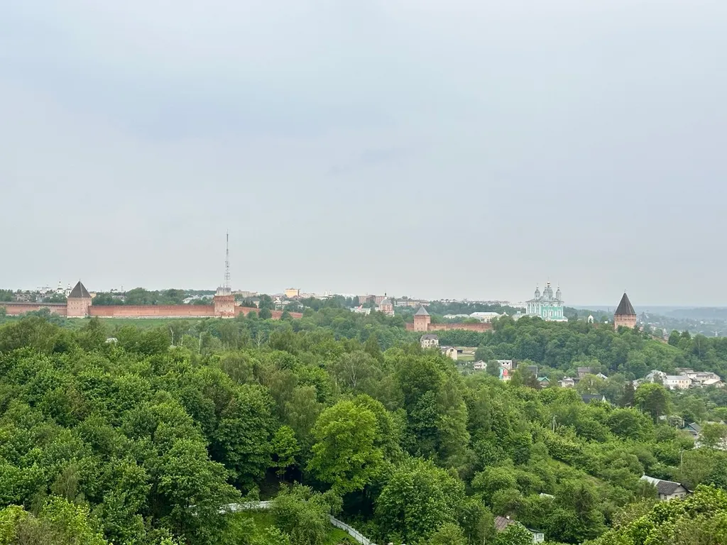 Шикарный вид из окна