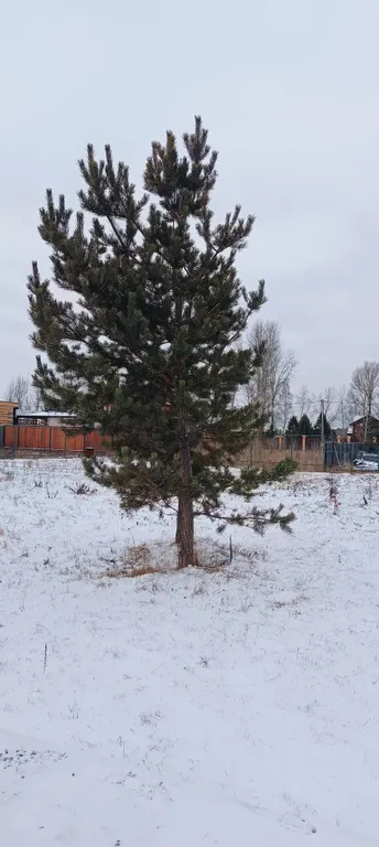 БарнОтдых с купелью, рядом лес и река