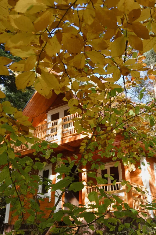 Коттедж Гостевой дом в Архызе — Архыз