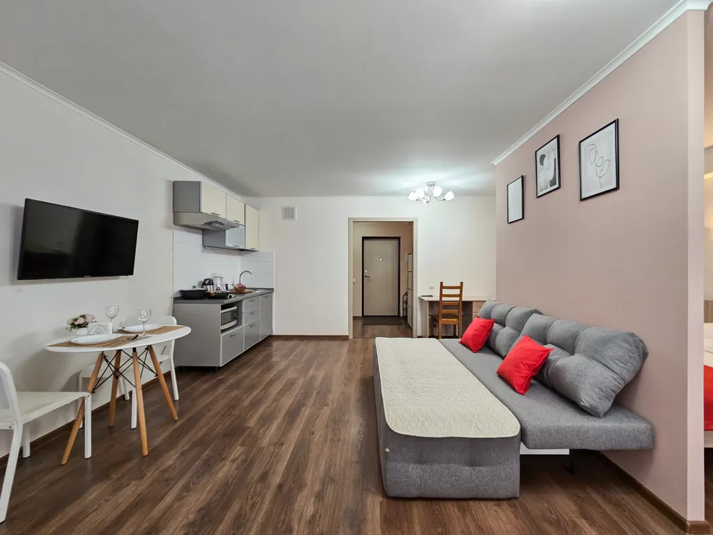 Просторная уютная студия в центре города