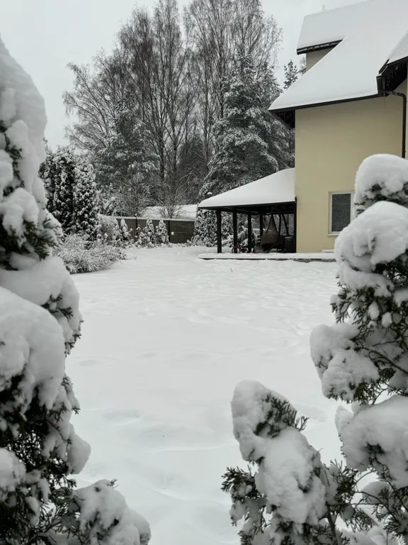 Большой дом