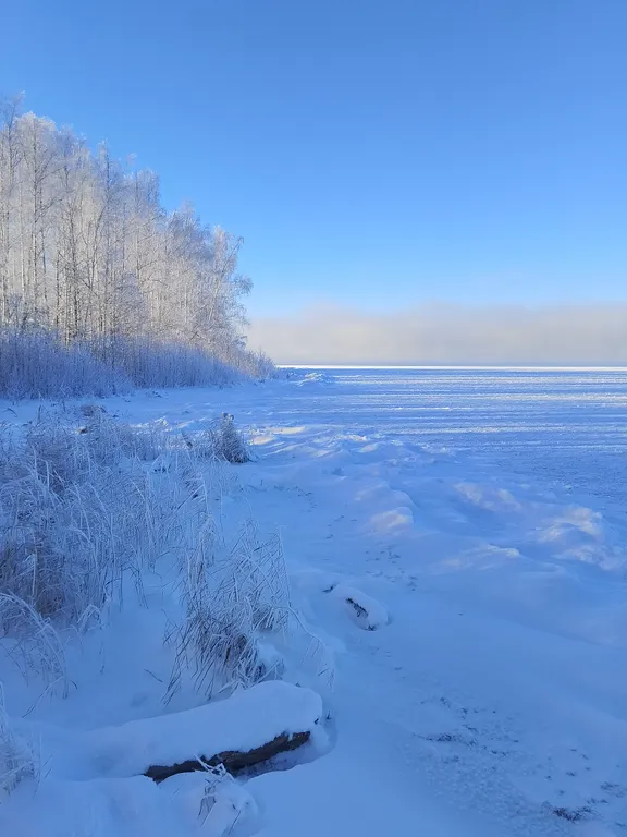 Гео купол в лесу на берегу озера Увильды