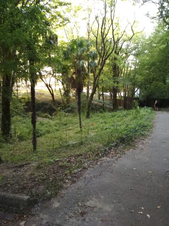 Большой дом для большой компании