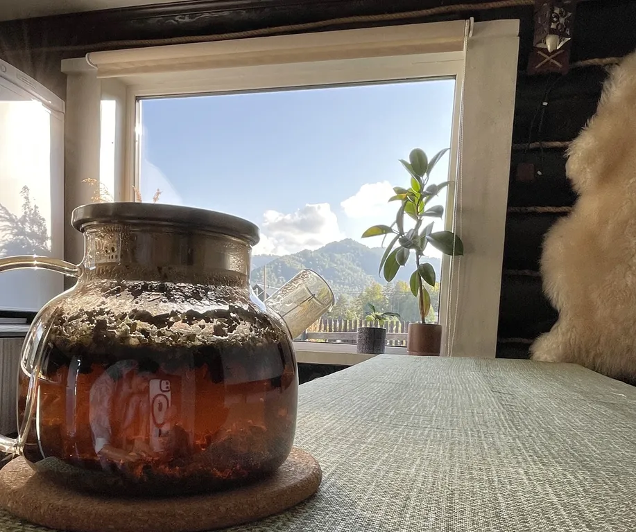 Самый уютный дoмик с кoшкой напротив горнолыжного куpоpта Мaнжеpoк