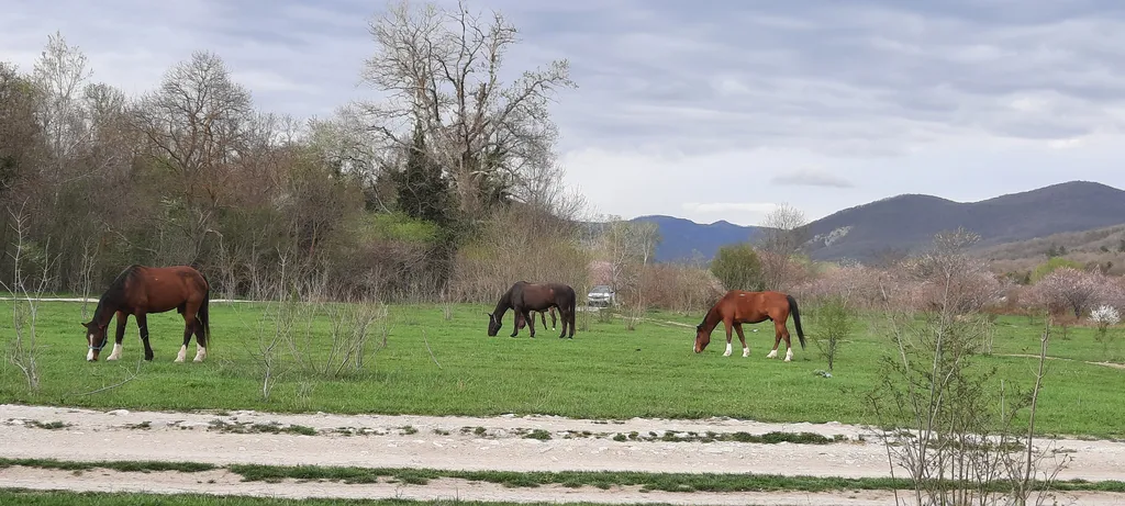 Домик у моря